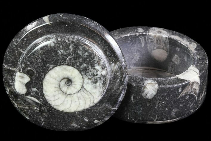 Small Fossil Goniatite Jar (Black) - Stoneware #66598